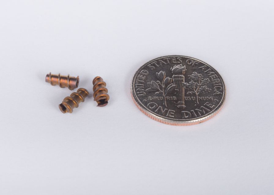 Small Orthopedic Screws compared to the size of a dime